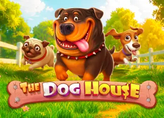 kingplay168 The Dog House ทดลองเล่นฟรี